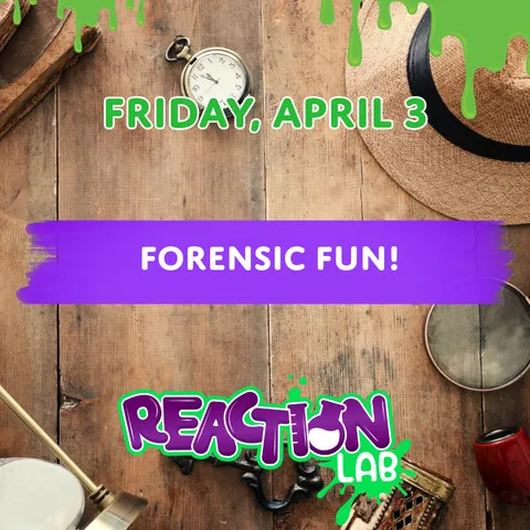 Forensic Fun - detective work and crime scene investigation