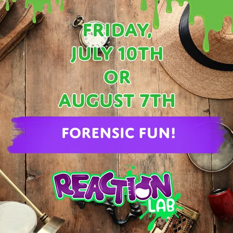 Forensic Fun - detective work and crime scene investigation