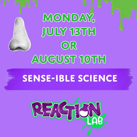 Sense-ible Science - exploring the five senses