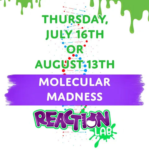 Molecular Madness - chemistry and molecules